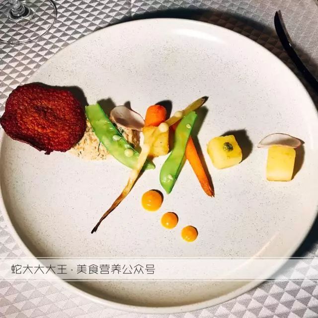 西餐鸭肉料理做法_料理西餐做法鸭肉图片_料理西餐做法鸭肉怎么做